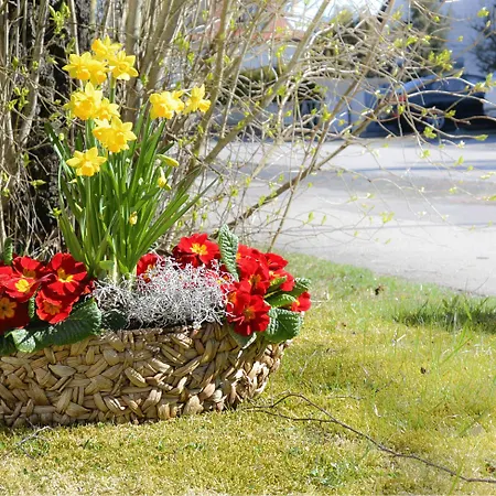 Eichinger מלון 3*